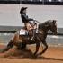 MTSU Riders Attend Stock Horse Nationals